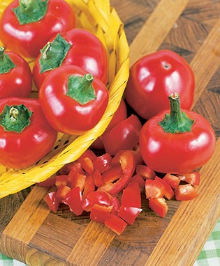 Hot Red Cherry Pepper